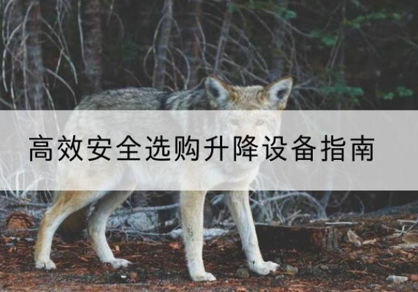 石狮升降货梯厂家推荐-*安全选购升降设备指南