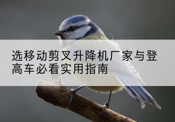 石狮电动升降机厂家-选移动剪叉升降机厂家与登高车必看实用指南
