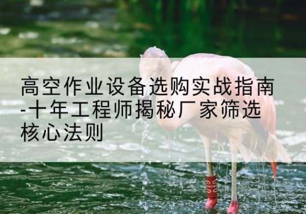 石狮剪叉式升降机厂家-高空作业设备选购实战指南-十年工程师揭秘厂家筛选核心法则